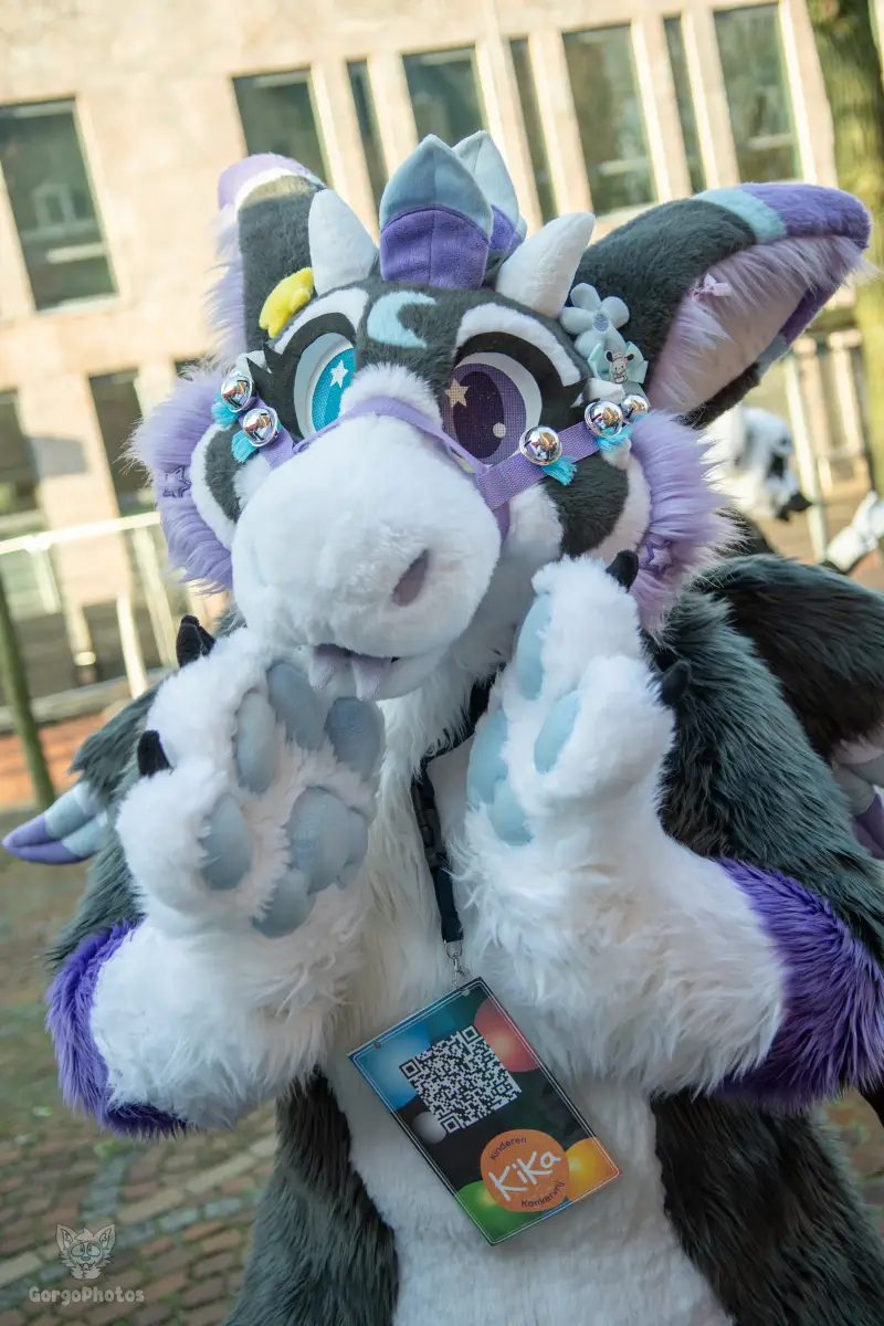 furryfusion_alkmaarfurwalk-52-standard.webp