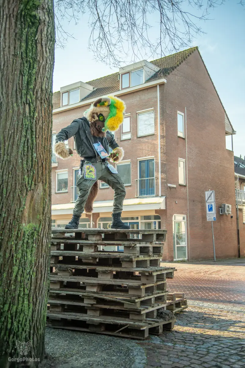 furryfusion_alkmaarfurwalk-54-standard.webp