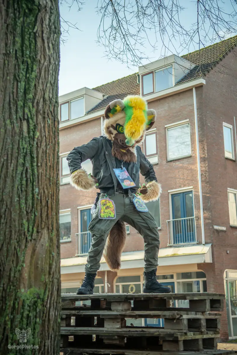 furryfusion_alkmaarfurwalk-56-standard.webp