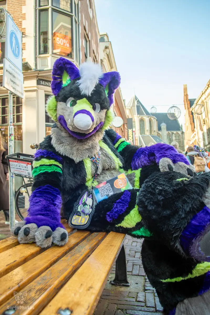 furryfusion_alkmaarfurwalk-71-standard.webp
