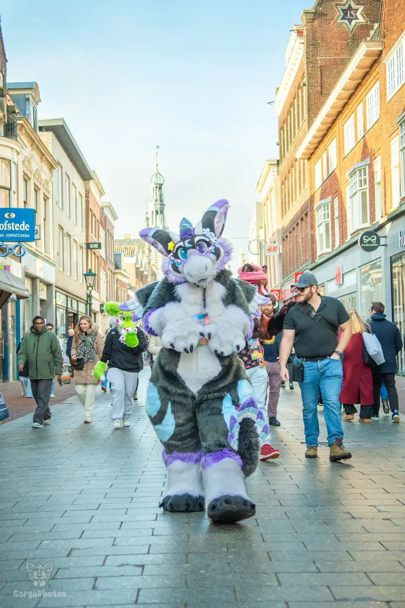 furryfusion_alkmaarfurwalk-72-standard.webp