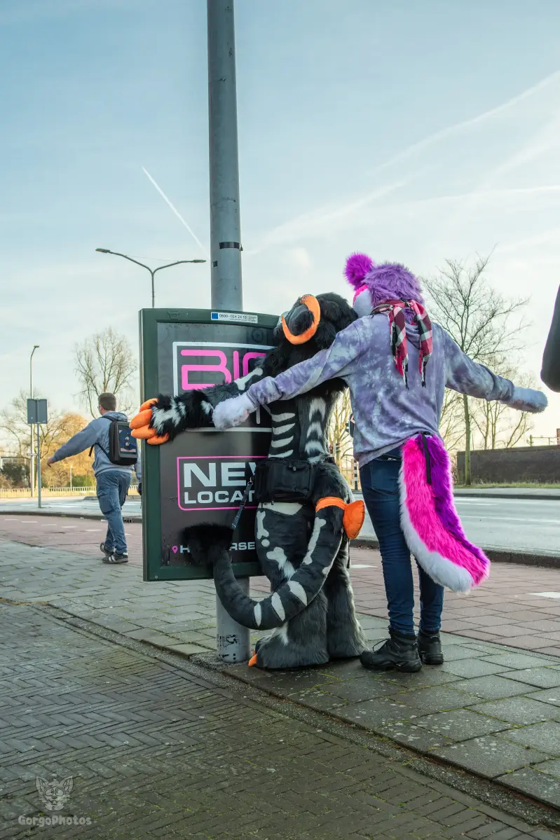 furryfusion_alkmaarfurwalk-8-standard.webp