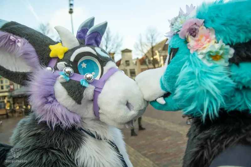 furryfusion_alkmaarfurwalk-88-standard.webp