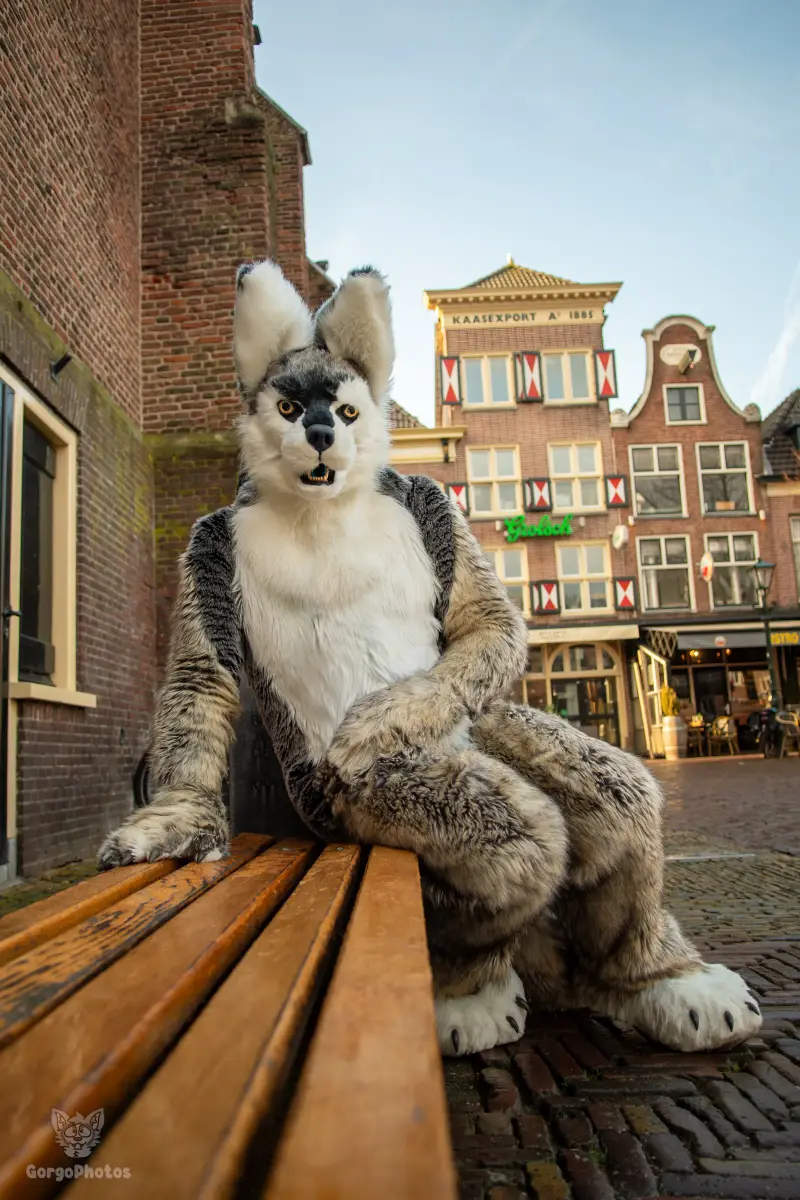 furryfusion_alkmaarfurwalk-90-standard.webp