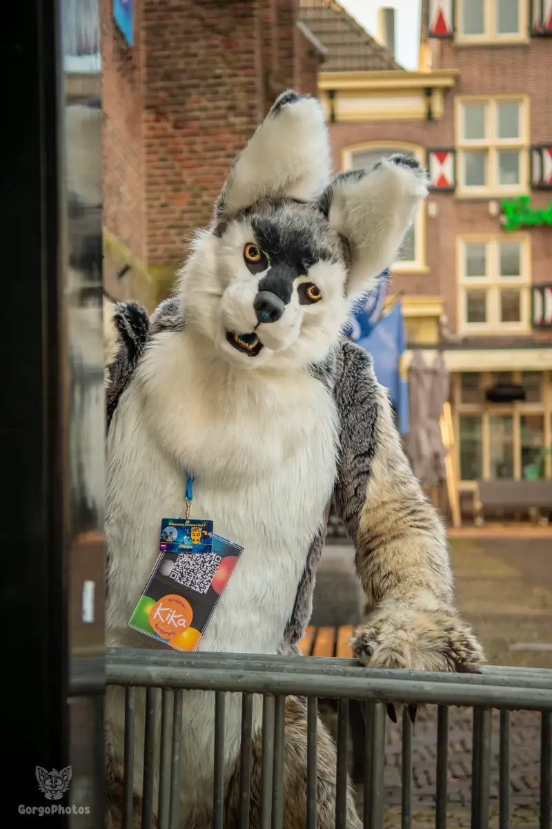 furryfusion_alkmaarfurwalk-91-standard.webp
