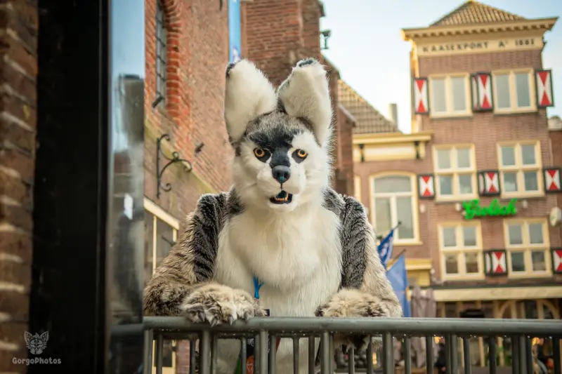 furryfusion_alkmaarfurwalk-92-standard.webp