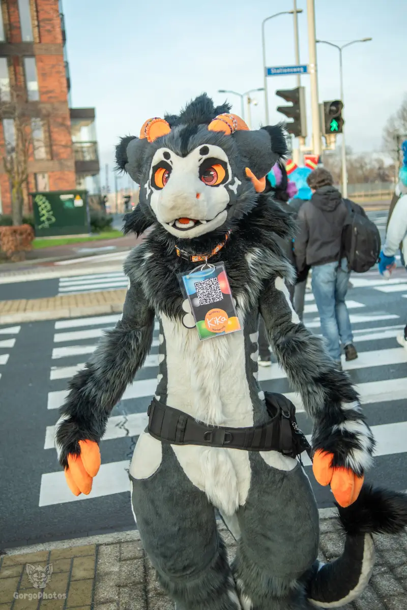 furryfusion_alkmaarfurwalk-97-standard.webp