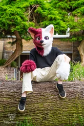 fuzzventsanniversary-20-standard.webp