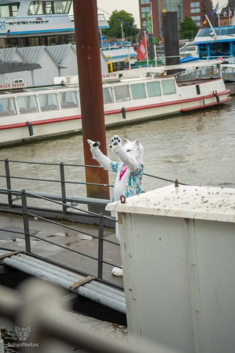 gp-ef30_pawchellasummerboat2026-10-standard.webp