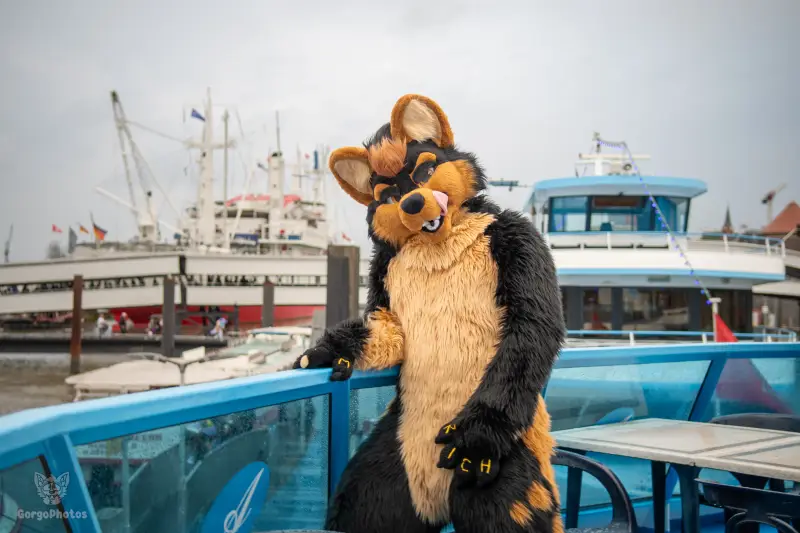 gp-ef30_pawchellasummerboat2026-14-standard.webp