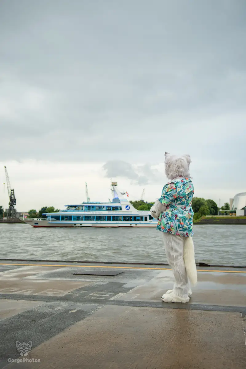gp-ef30_pawchellasummerboat2026-8-standard.webp