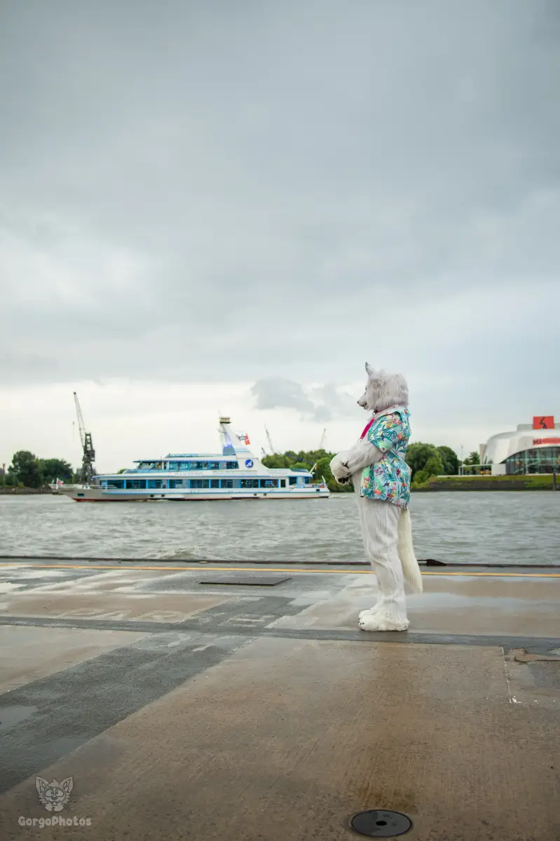 gp-ef30_pawchellasummerboat2026-9-standard.webp