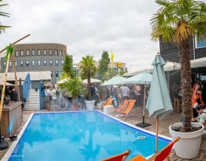gp_furgroovesummer2026-104-standard.webp