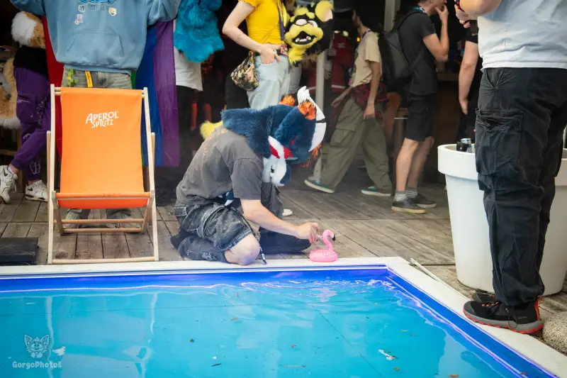 gp_furgroovesummer2026-140-standard.webp