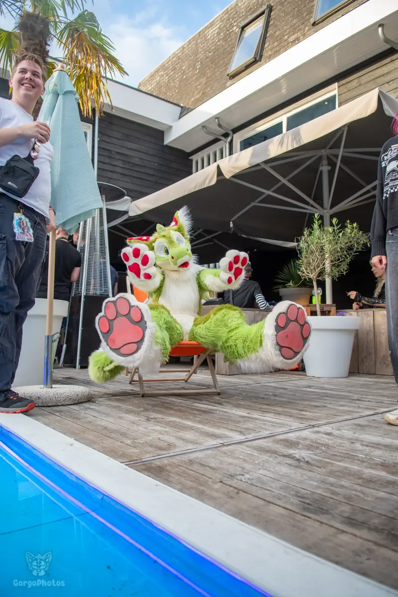 gp_furgroovesummer2026-141-standard.webp