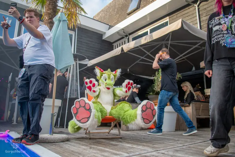 gp_furgroovesummer2026-142-standard.webp