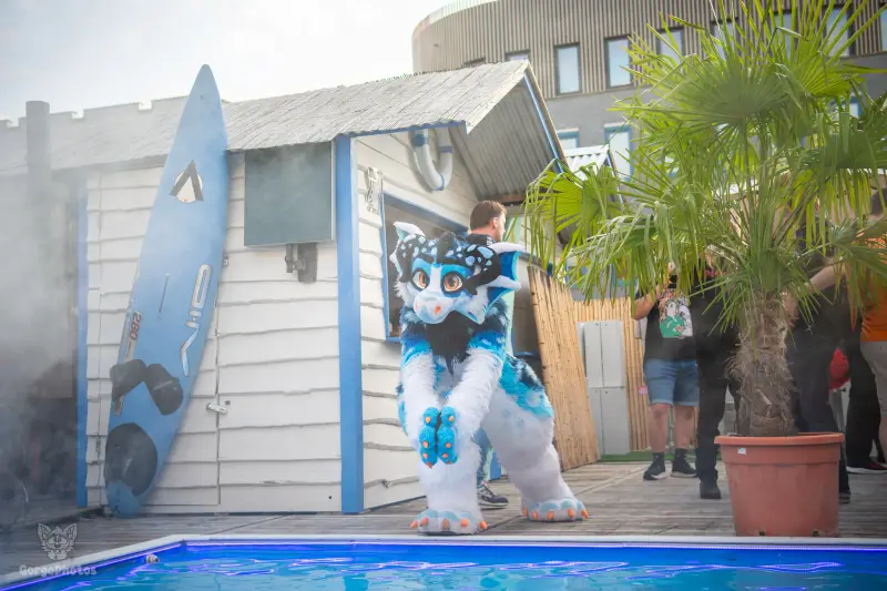 gp_furgroovesummer2026-149-standard.webp