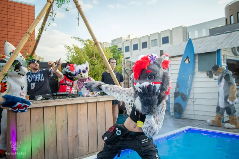gp_furgroovesummer2026-156-standard.webp
