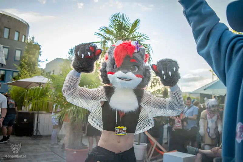 gp_furgroovesummer2026-158-standard.webp