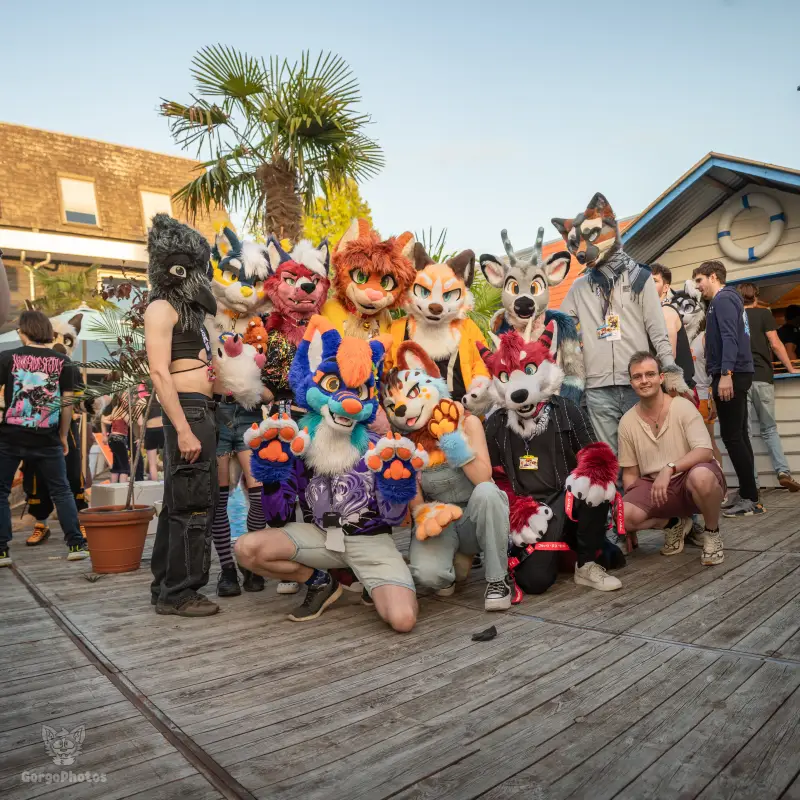 gp_furgroovesummer2026-176-standard.webp