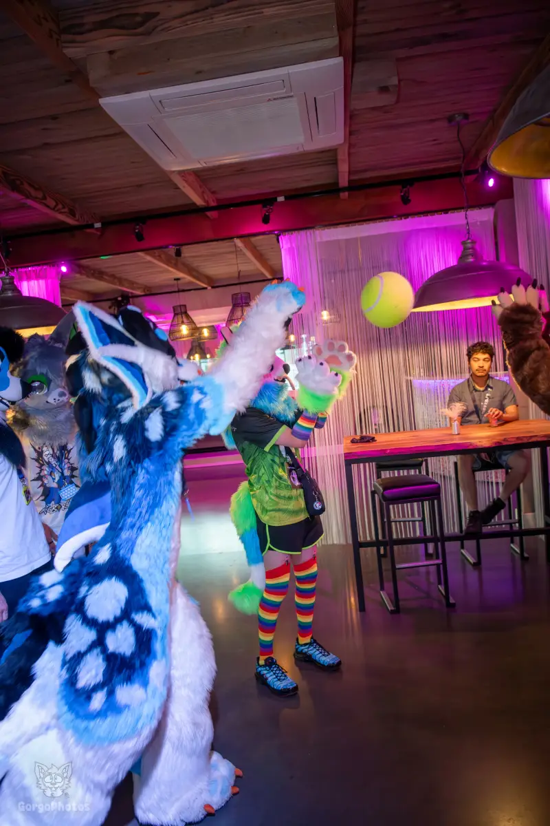 gp_furgroovesummer2026-182-standard.webp