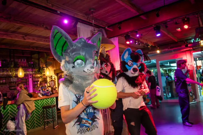 gp_furgroovesummer2026-187-standard.webp