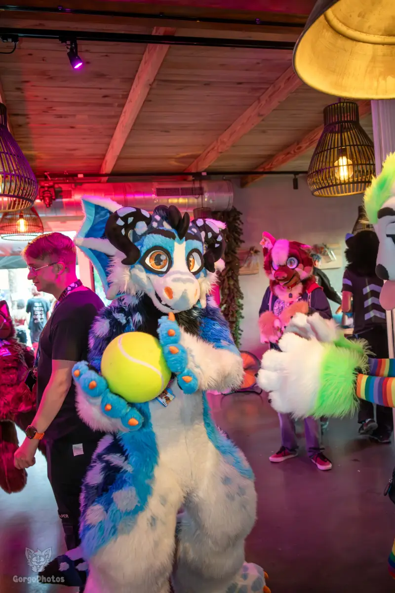 gp_furgroovesummer2026-188-standard.webp