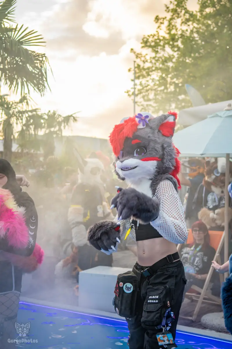 gp_furgroovesummer2026-194-standard.webp