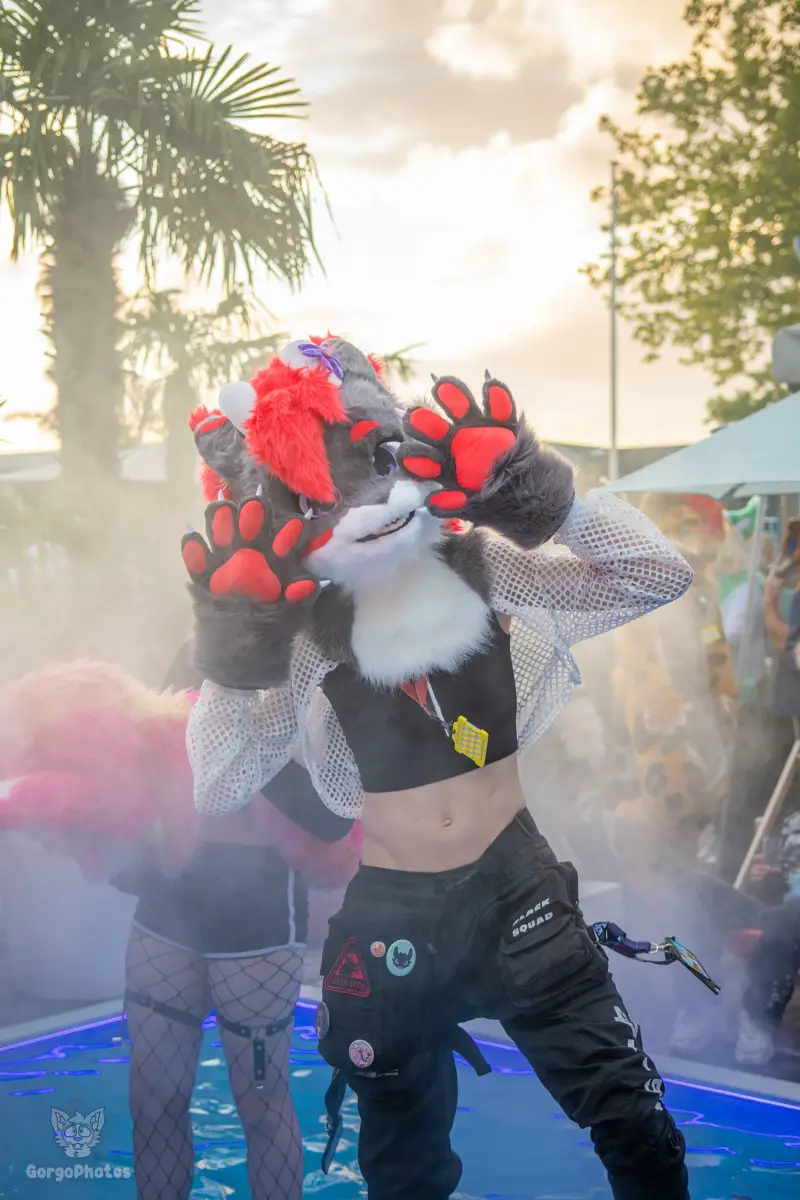 gp_furgroovesummer2026-195-standard.webp