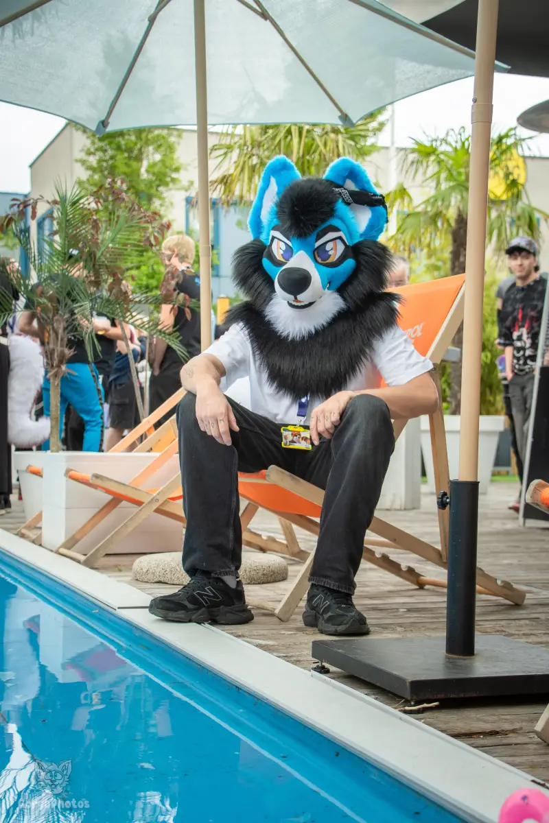 gp_furgroovesummer2026-20-standard.webp