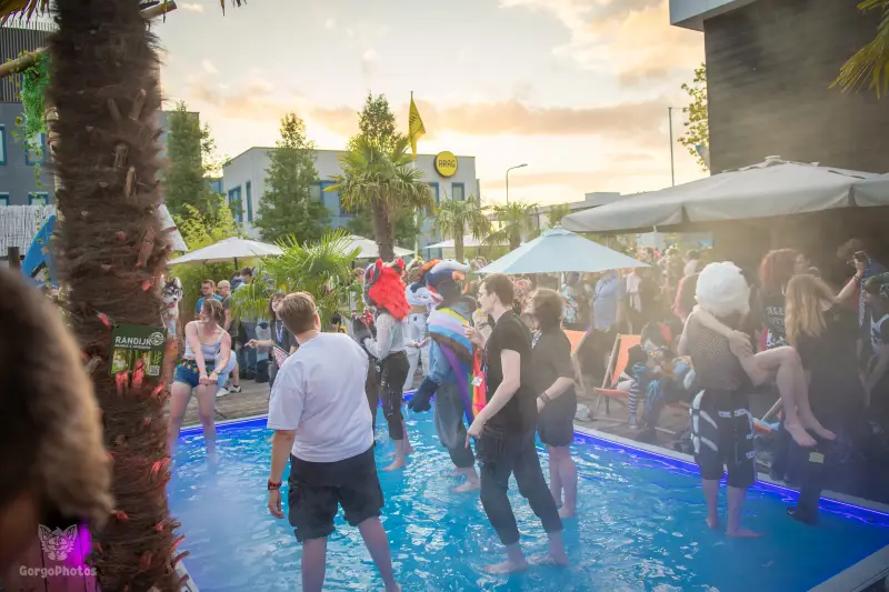 gp_furgroovesummer2026-203-standard.webp