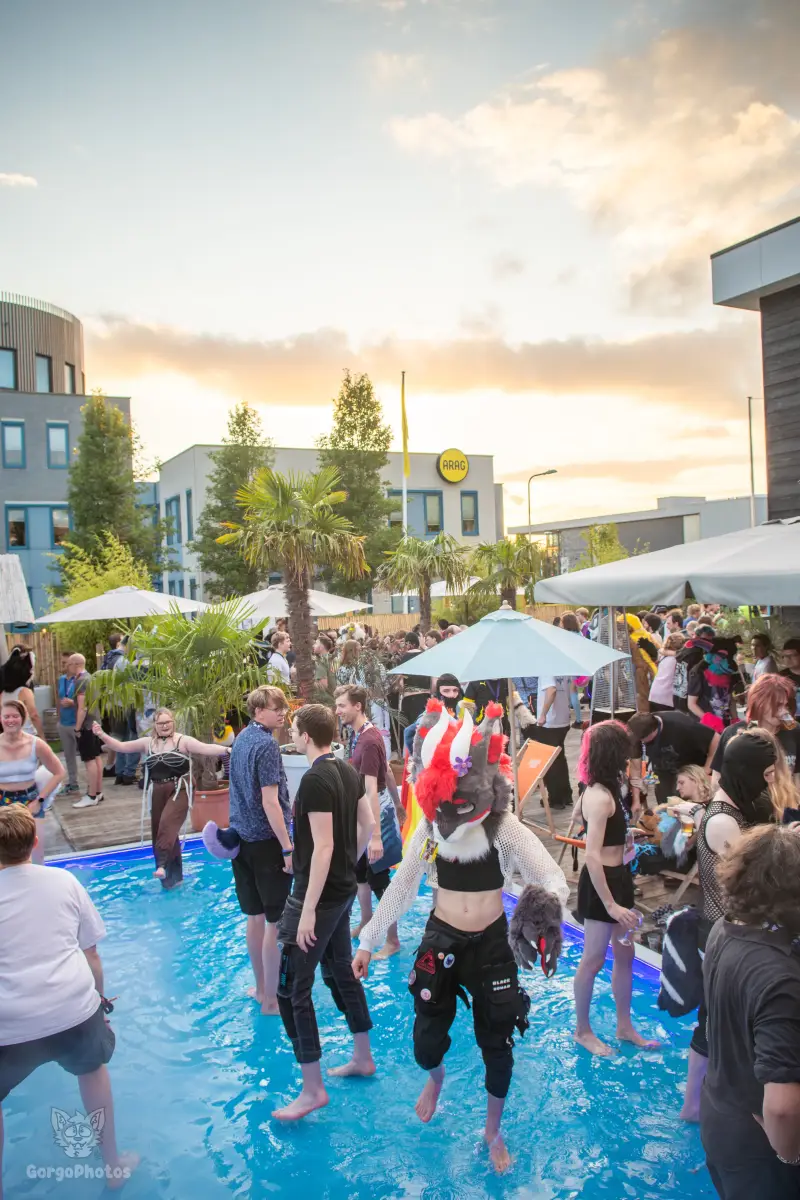 gp_furgroovesummer2026-204-standard.webp