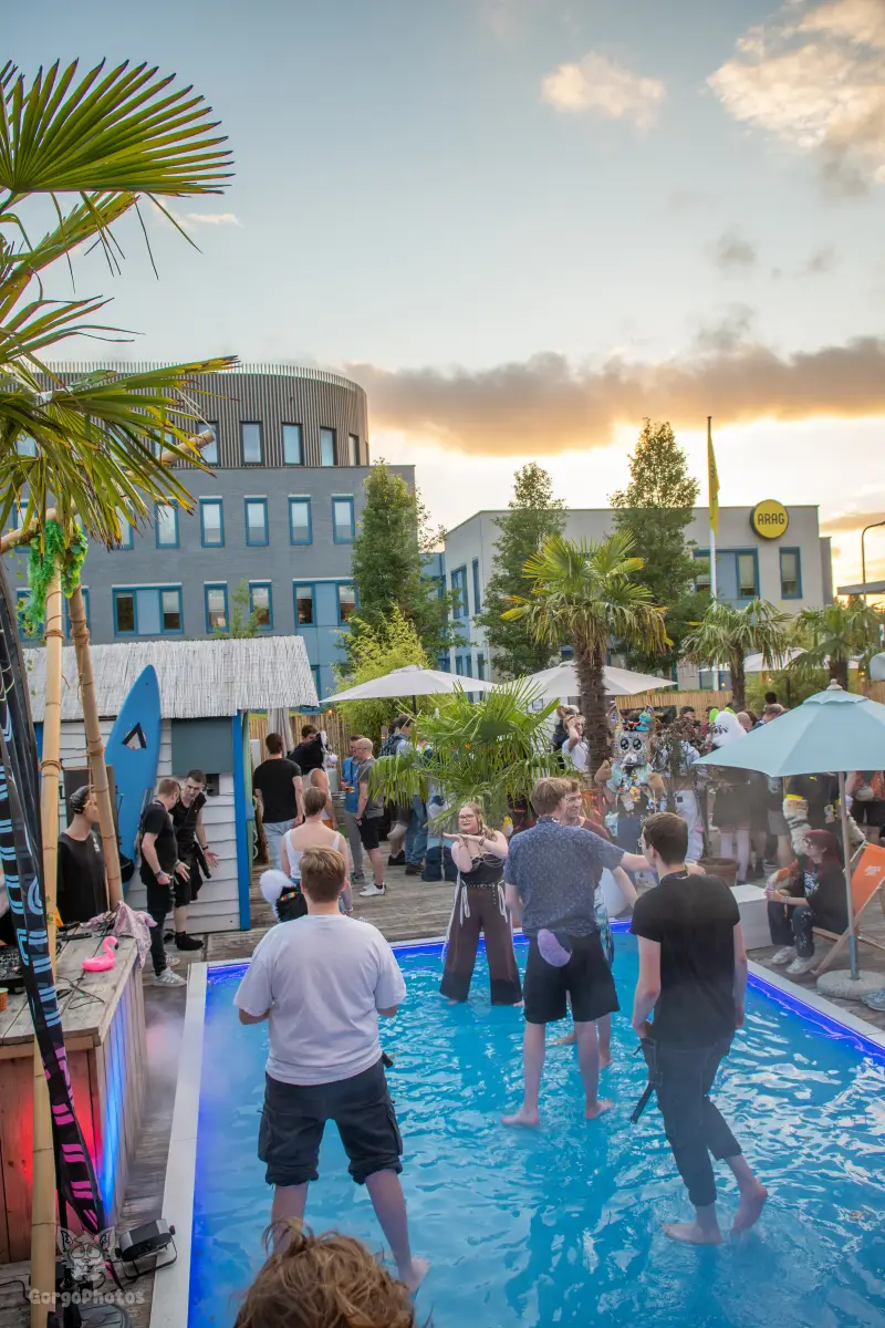 gp_furgroovesummer2026-207-standard.webp