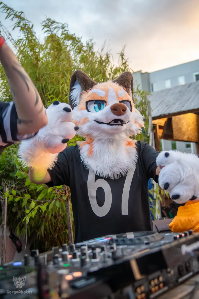 gp_furgroovesummer2026-216-standard.webp