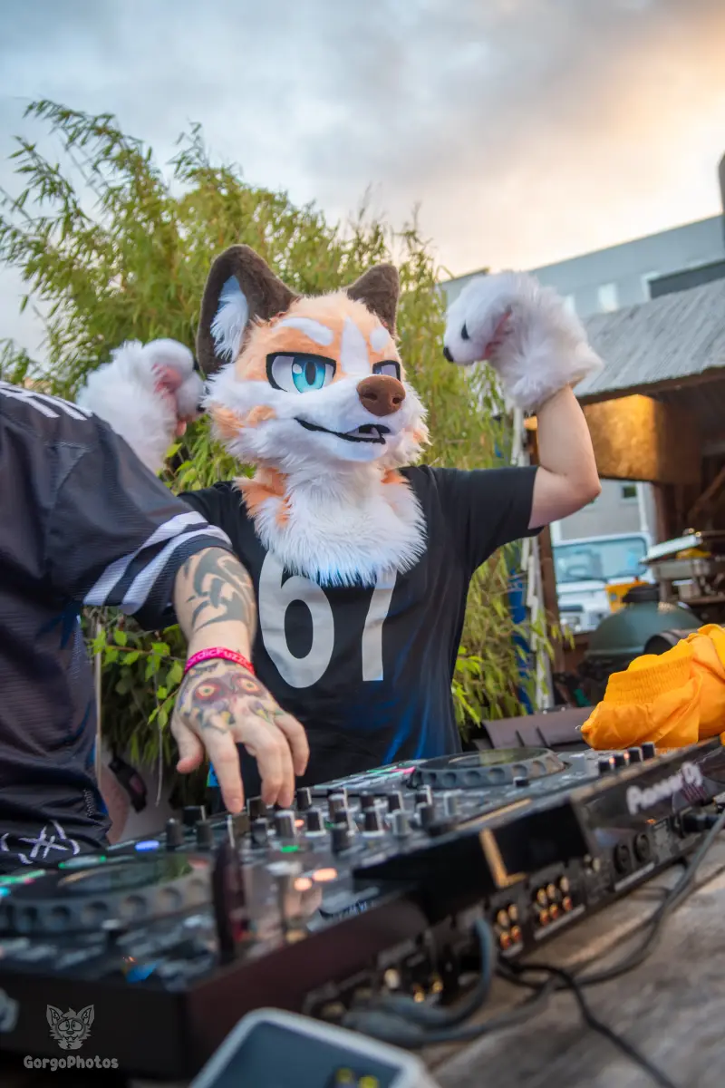 gp_furgroovesummer2026-217-standard.webp