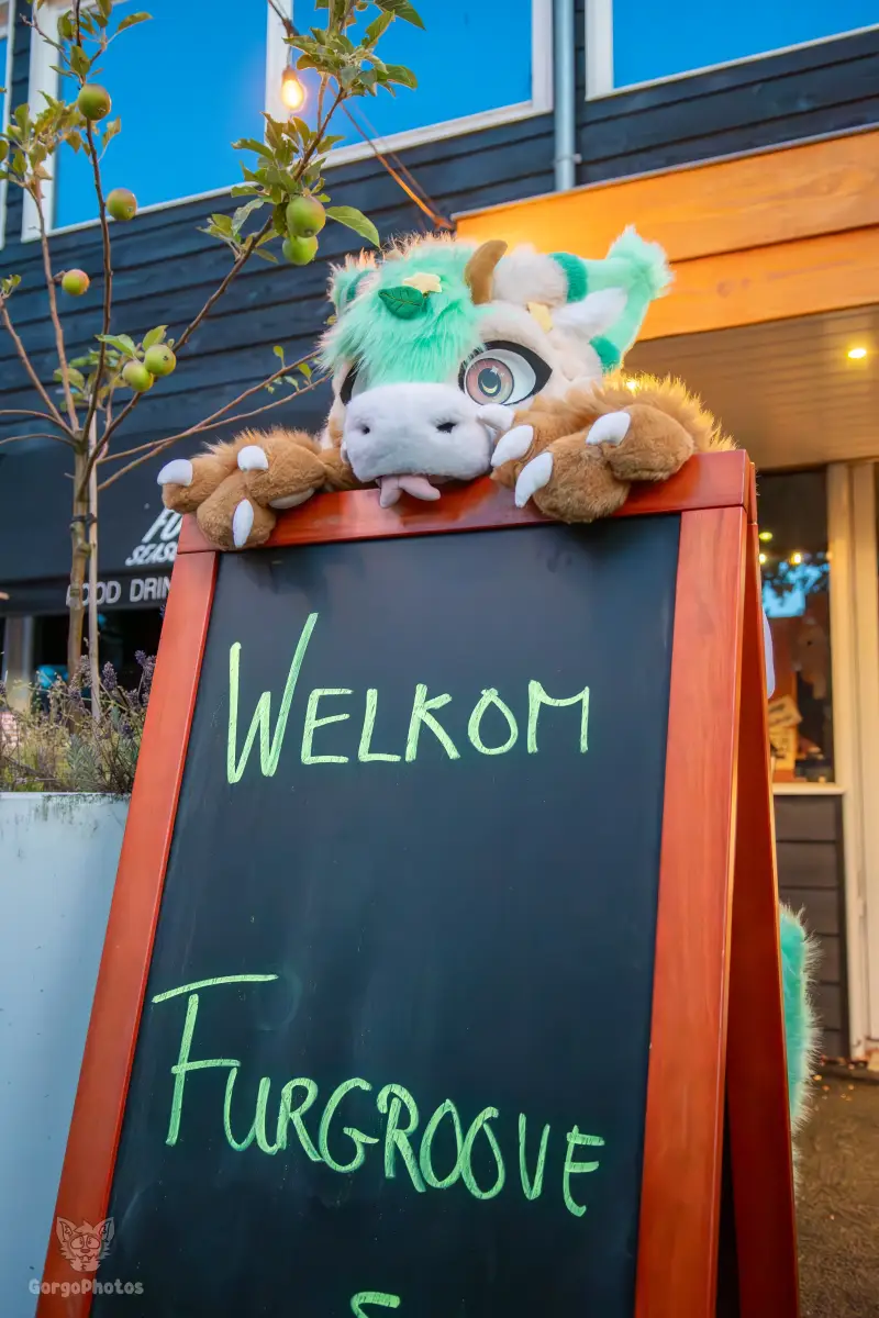 gp_furgroovesummer2026-233-standard.webp