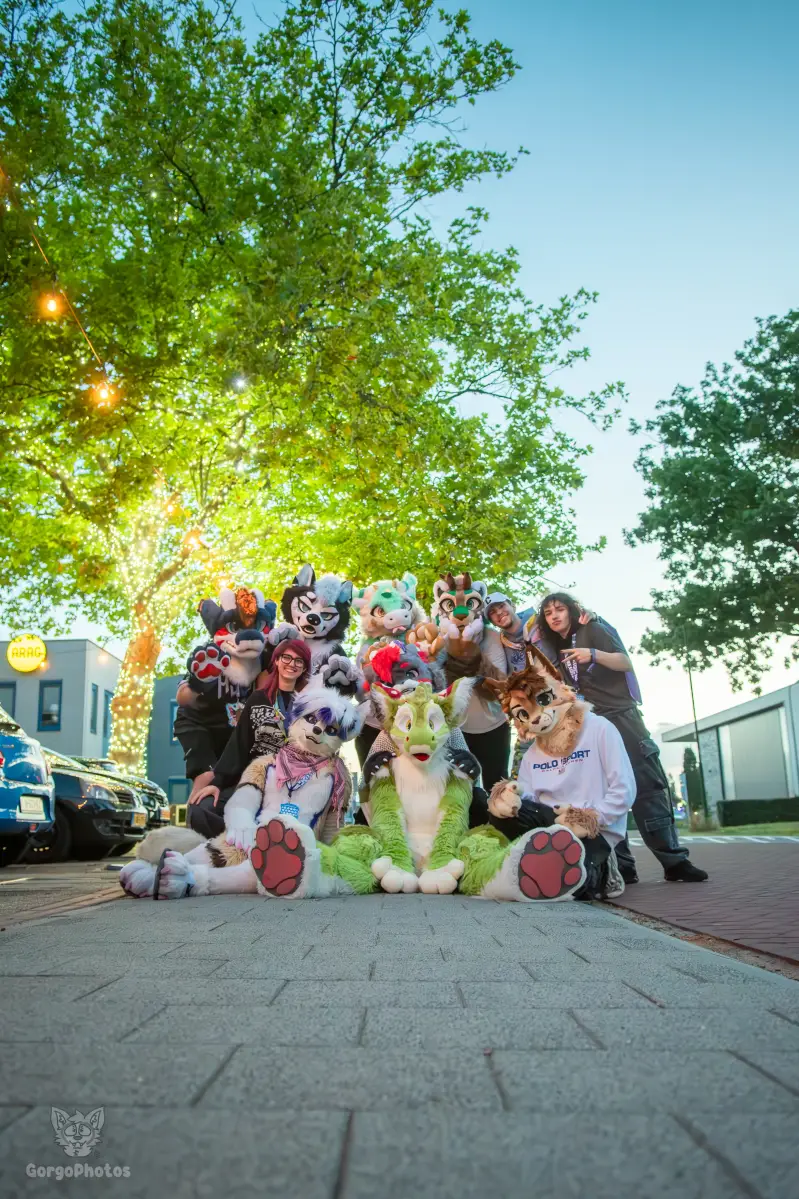gp_furgroovesummer2026-235-standard.webp