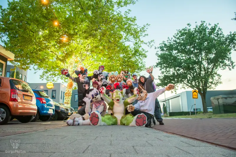 gp_furgroovesummer2026-237-standard.webp