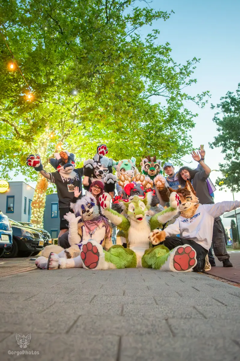 gp_furgroovesummer2026-238-standard.webp