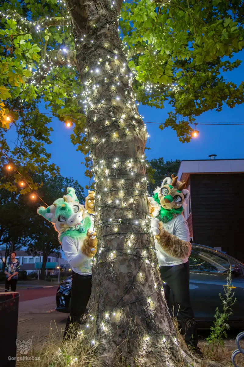 gp_furgroovesummer2026-250-standard.webp