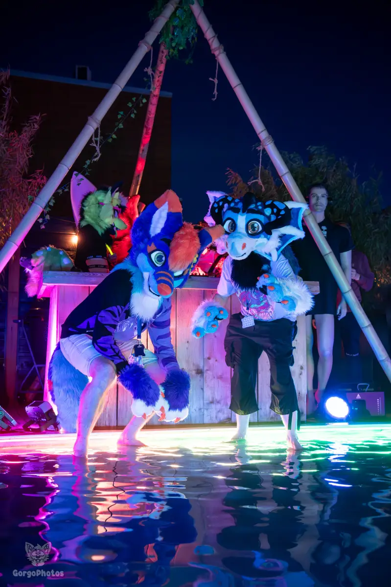 gp_furgroovesummer2026-261-standard.webp