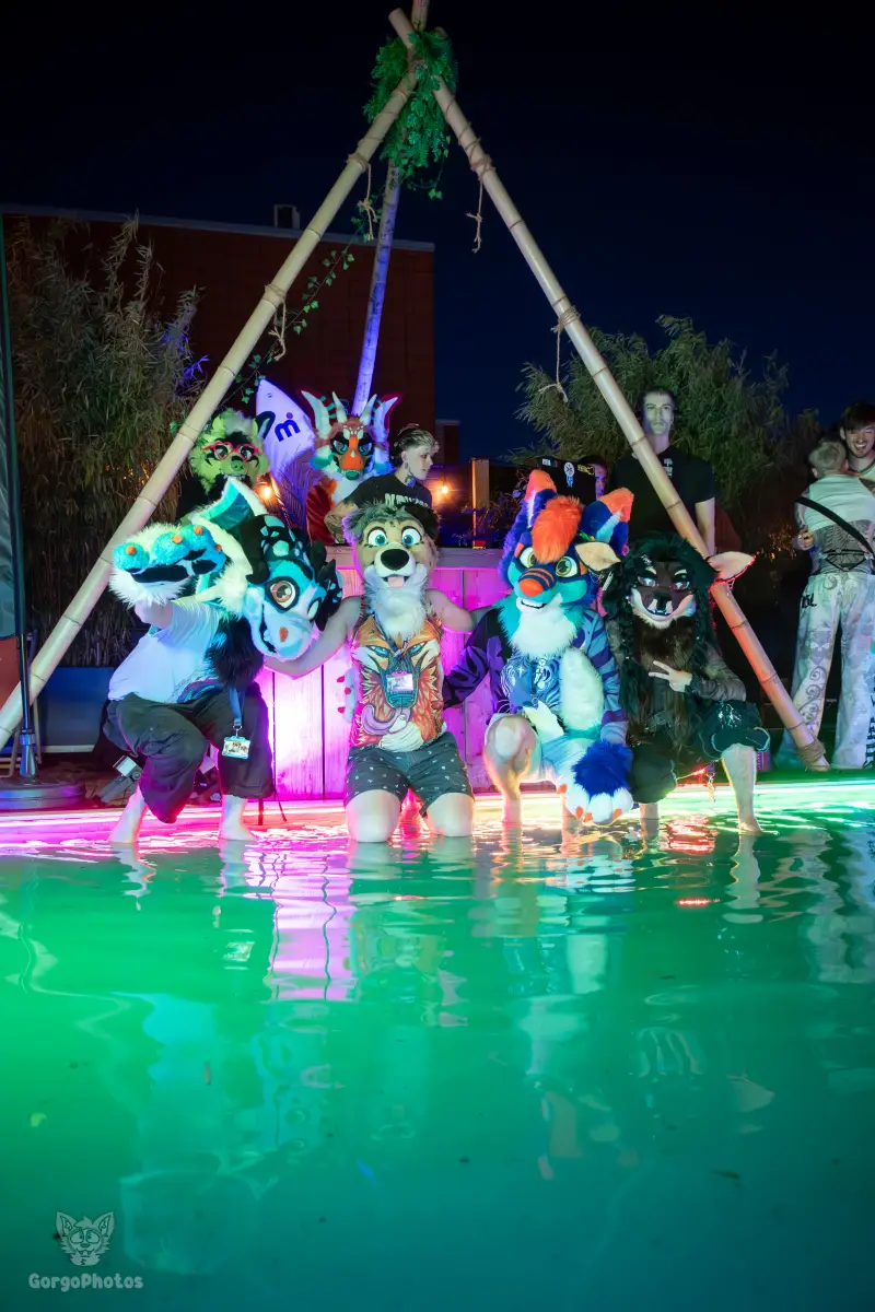 gp_furgroovesummer2026-263-standard.webp