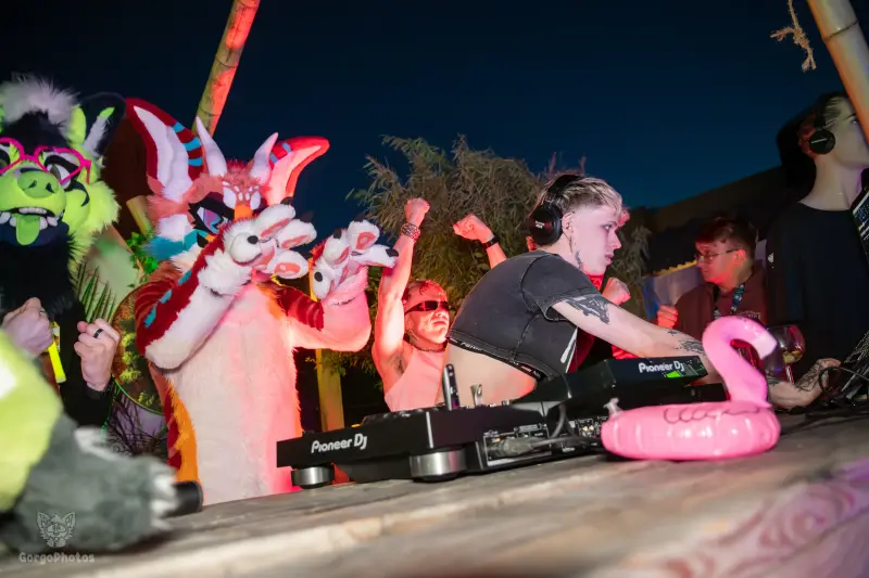 gp_furgroovesummer2026-264-standard.webp