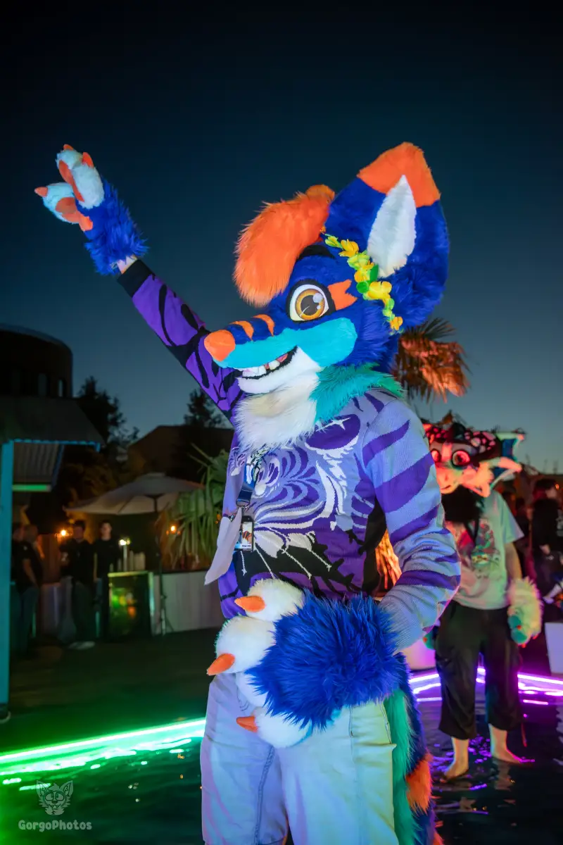 gp_furgroovesummer2026-266-standard.webp
