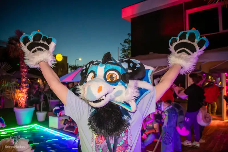 gp_furgroovesummer2026-267-standard.webp