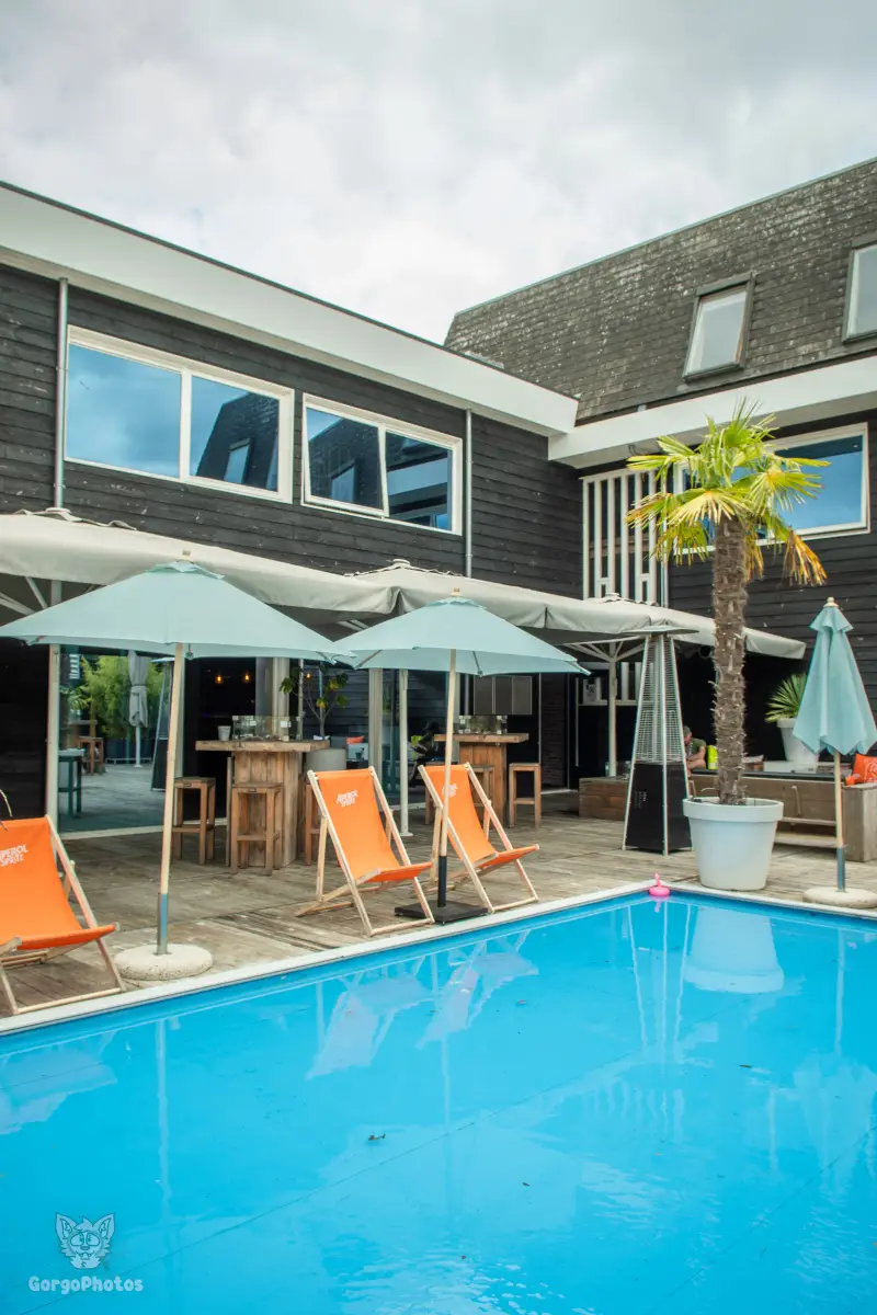 gp_furgroovesummer2026-5-standard.webp