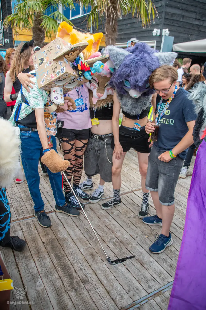 gp_furgroovesummer2026-60-standard.webp