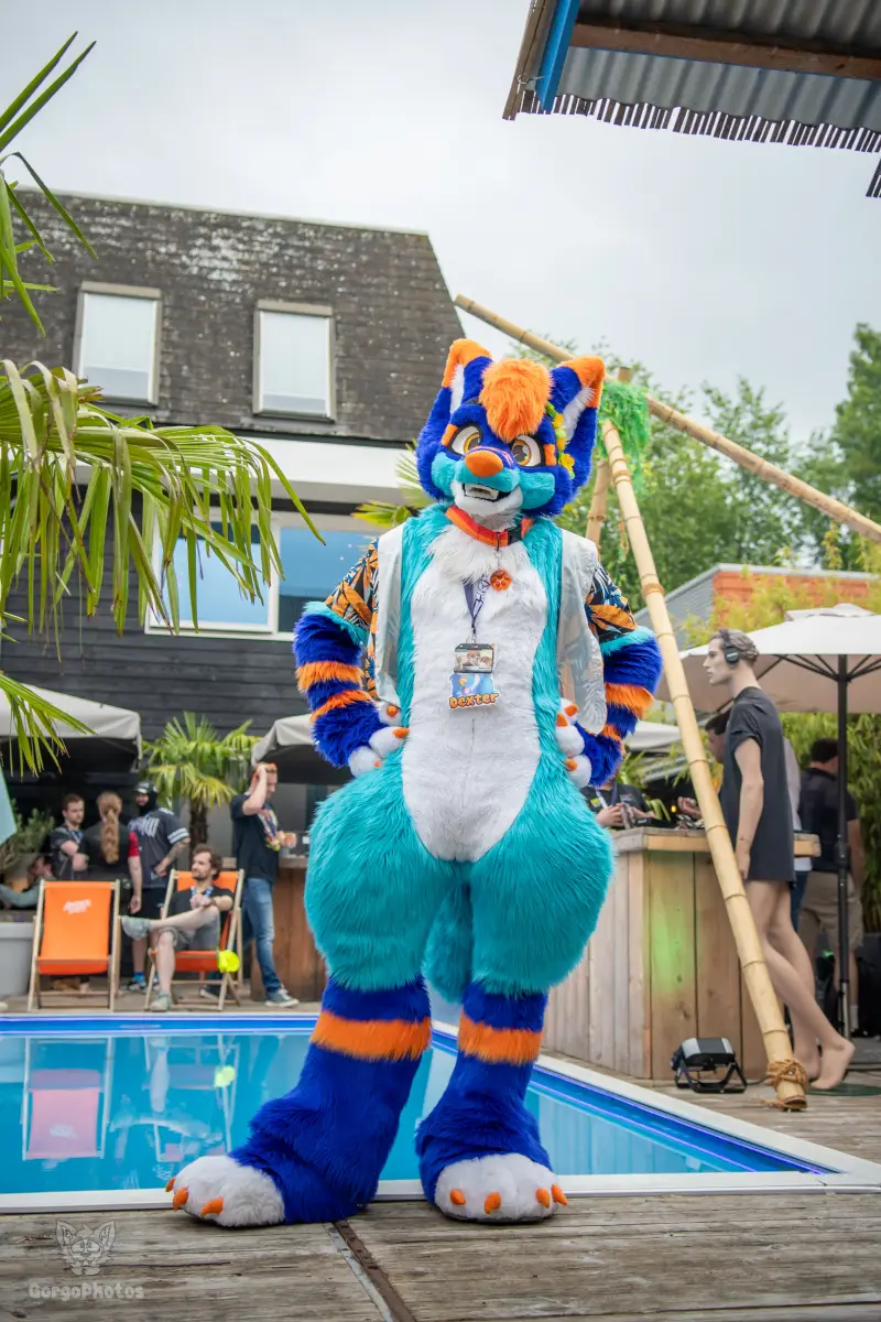gp_furgroovesummer2026-62-standard.webp