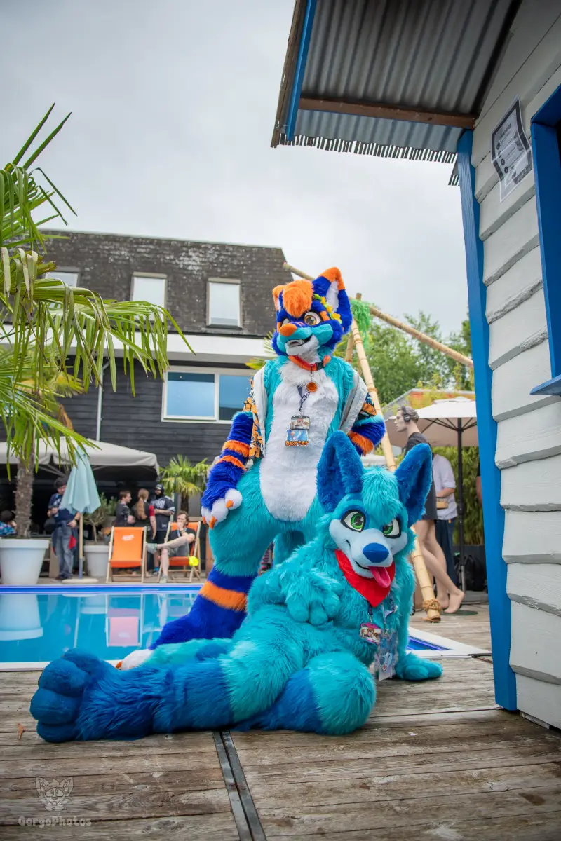 gp_furgroovesummer2026-64-standard.webp