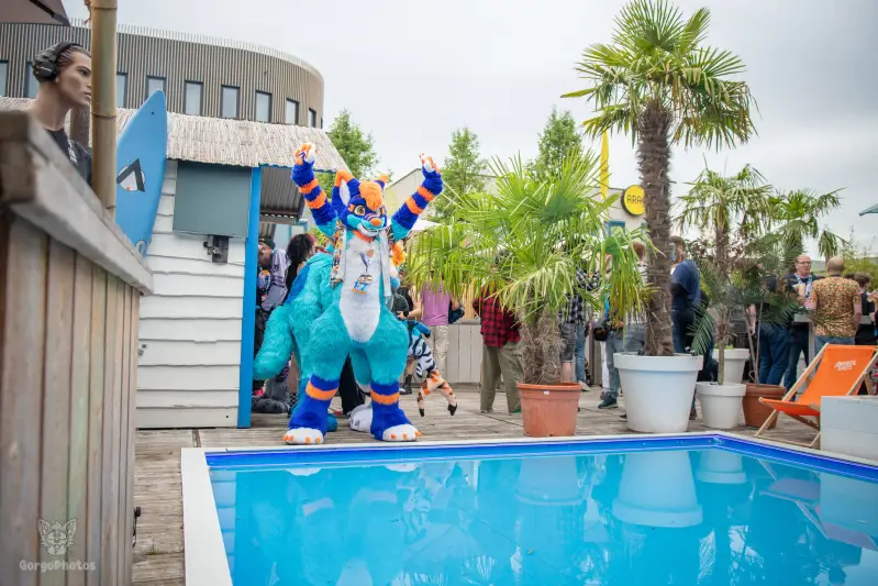 gp_furgroovesummer2026-68-standard.webp